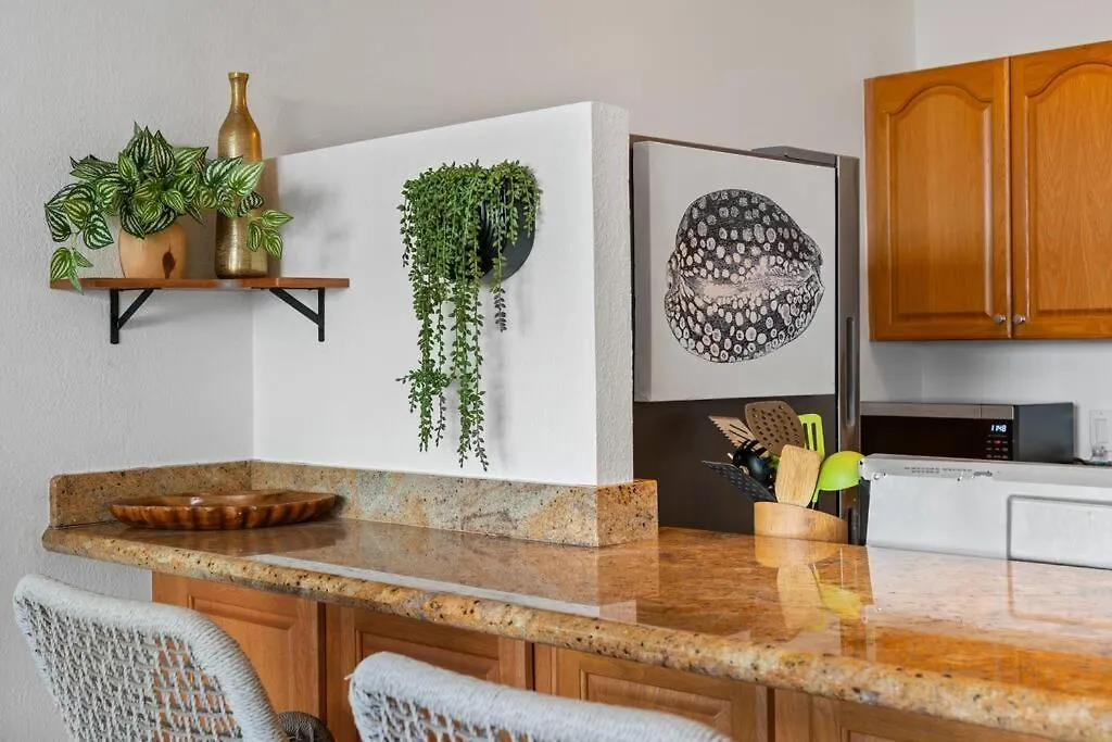 Apartment Ocean View Condo, Walk To Beach, Cafes & Shops Kihei